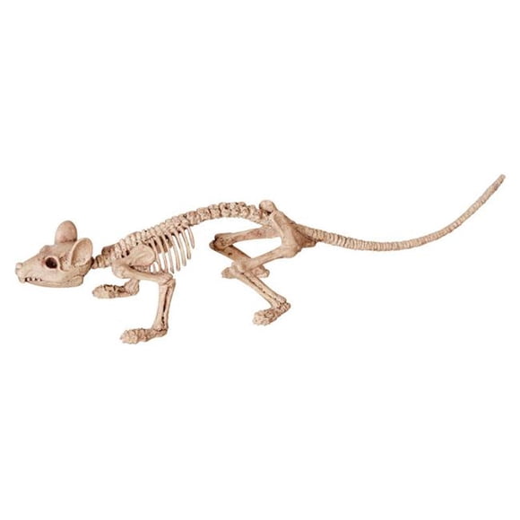 Seasons 9433798 Assortment of Animal Skeletons Halloween Decoration Bone - pack of 12