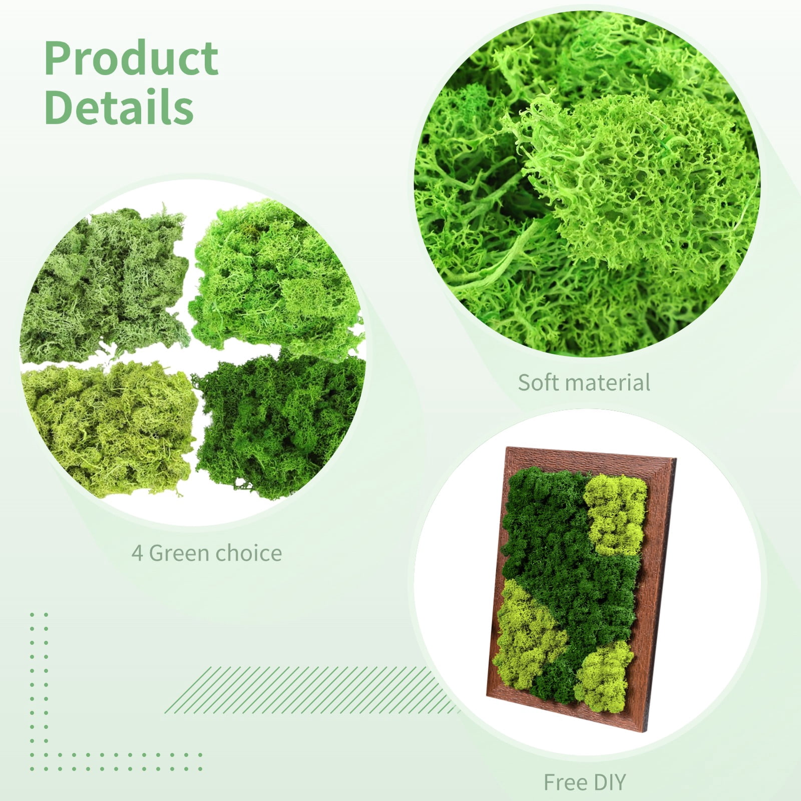 4 Colors Preserved Reindeer Moss for DIY Miniature Landscapes Green Natural Texture, Perfect for Craft Projects and Home Decor