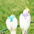 thumbnail image 3 of Pet Bird Training Toy Portable Flying Rope for Pigeons Outside Walk Adjustable, 3 of 16