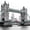 Pop London Bridge, variant on Elephant Stock Yellow Eyed Owl Wall Art - Horizontal Canvas Wall Art - Living Room Wall Decor - Animal Canvas - Black And Gray Decor - 12" x 8"