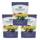 thumbnail image 1 of Pastillas Nature's Way Organic Sambucus Zinc con saúco 24, 1 of 9