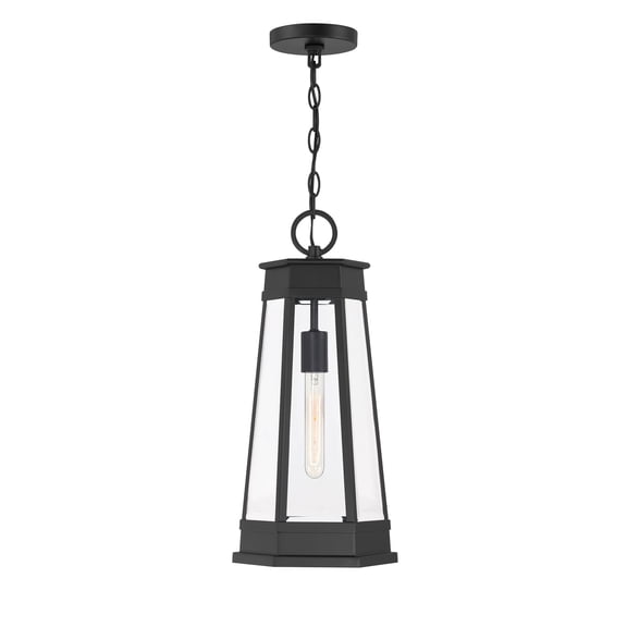 Payne 1-Light Outdoor Hanging Lantern in Matte Black