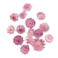 thumbnail image 4 of GUOOL 10x Pressed Real Dried Flower Dry Leaves DIY Crafts Bookmark Card Making 02, 4 of 9