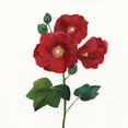 thumbnail image 2 of Nan 26x26 White Modern Wood Framed Museum Art Print Titled - Simple Botanical I, 2 of 4
