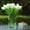 white, variant on ENOVA FLORAL 20 Heads White Tulips Real Touch Artificial Flowers in Vase, Fake Tulips Flowers with Vase and Faux Water for Dining Table Decoration