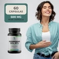 thumbnail image 4 of Berberina 600 Mg Hcl 97% Cúrcuma Piperina 60 Caps Sin Sabor, 4 of 9