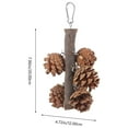 thumbnail image 2 of PTOOTP Parrot Chewing Toy Natural Pine Cone 1Pack for Chewing Time and Play, 2 of 5