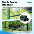 thumbnail image 6 of Quictent Mini Greenhouse 56"x56"x77" Walk-in Greenhouse, Transparent PVC Cover, 12 Shelves, 6 of 8