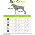 thumbnail image 2 of rabbitgoo Harnais pour Chien Anti-Traction Harnais pour Animal avec 2 Pinces pour Laisse Gilet pour Chien Rembourré Doux Ajustable Gilet Oxford Réfléchissant Anti-Étranglement pour Animal avec Poignée de Contrôle Facile pour Grands Chiens Sarcelle L, 2 of 9
