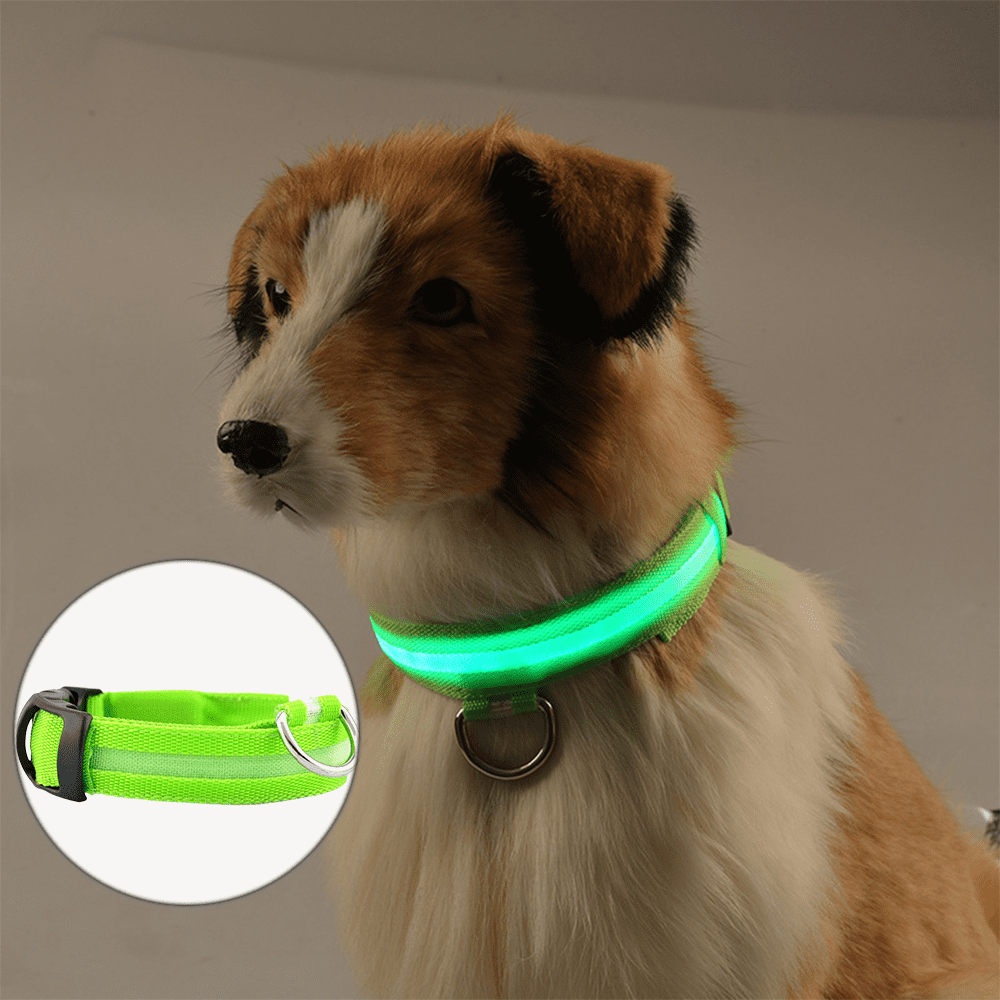 Nylon Dog Collar Night Safety LED Glow Dog Harness Pet Supplies Cat Collars Crea 