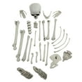 thumbnail image 4 of JJKBVCLO 28 Of Human Skeleton Bulk Suit Halloween Simulation Model Escape Loose Bone Props Atmosphere Props Decoration, 4 of 9
