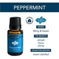 thumbnail image 5 of Airom Succulent Passive White Porcelain Diffuser, Non-Electric, Battery-Free Fragrance and Essential Oil Diffuser with Peppermint Essential Oil, White Cactus with Beige Base, 5 of 6