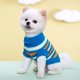thumbnail image 5 of Ropa para mascotas Ropa para gatos de punto de lana multicolor Suéter casual para mascotas con solapa multicolor de dos patas Ropa de lujo para perros Ropa para mascotas, 5 of 5