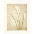 thumbnail image 2 of Melious, Amy 15x18 Gold Ornate Wood Framed with Double Matting Museum Art Print Titled - Poetica II, 2 of 4