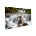 thumbnail image 2 of Trademark Fine Art 'Catching Vibes' Canvas Art by Philippe Sainte-Laudy, 2 of 3