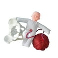 thumbnail image 4 of Modelo de anatomía pélvica femenina Modelo de Modelo de entrenamiento Herramienta educativa para la comunicación con pacientes de ginecología, 4 of 8