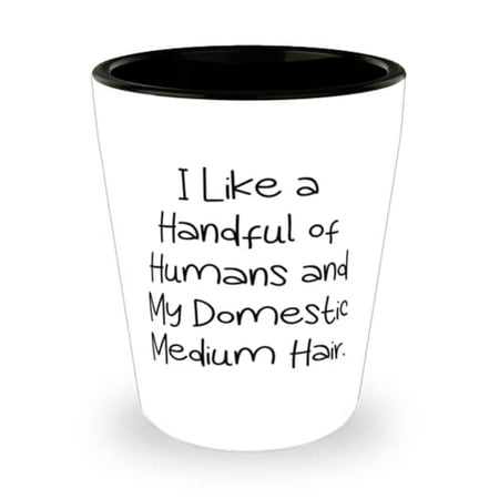 

Unique Domestic Mediumhair Cat Gifts I Like a Handful of Humans and My Domestic Reusable Holiday Shot Glass From Cat Lovers Christmas gifts Hanukkah gifts Kwanzaa gifts Birthday gifts Wedding