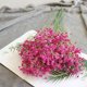 thumbnail image 1 of EchoBliss 1 Pieza Artificial Falsa Seda Gypsophila Flor Boda Ramo Decoración Del Hogar, 1 of 6
