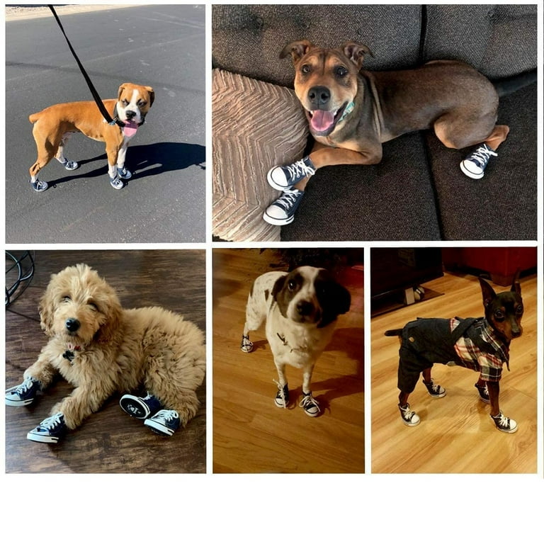Dog canvas shoes hot sale