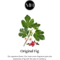 thumbnail image 2 of Room & Linen Spray – Original Fig, 10 oz | Non-Toxic, Pet-Friendly, Eco-Friendly Luxury Home Fragrance | Elegant Scent for Bedding, Upholstery & Interiors, 2 of 4
