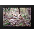 thumbnail image 2 of Underdahl, Dana 18x13 Black Modern Framed Museum Art Print Titled - Safari Cheetah I, 2 of 5