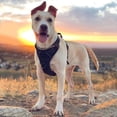 thumbnail image 2 of Dog Harness No Pull Pet Harness Adjustable Soft Padded Dog Vest S, 2 of 5