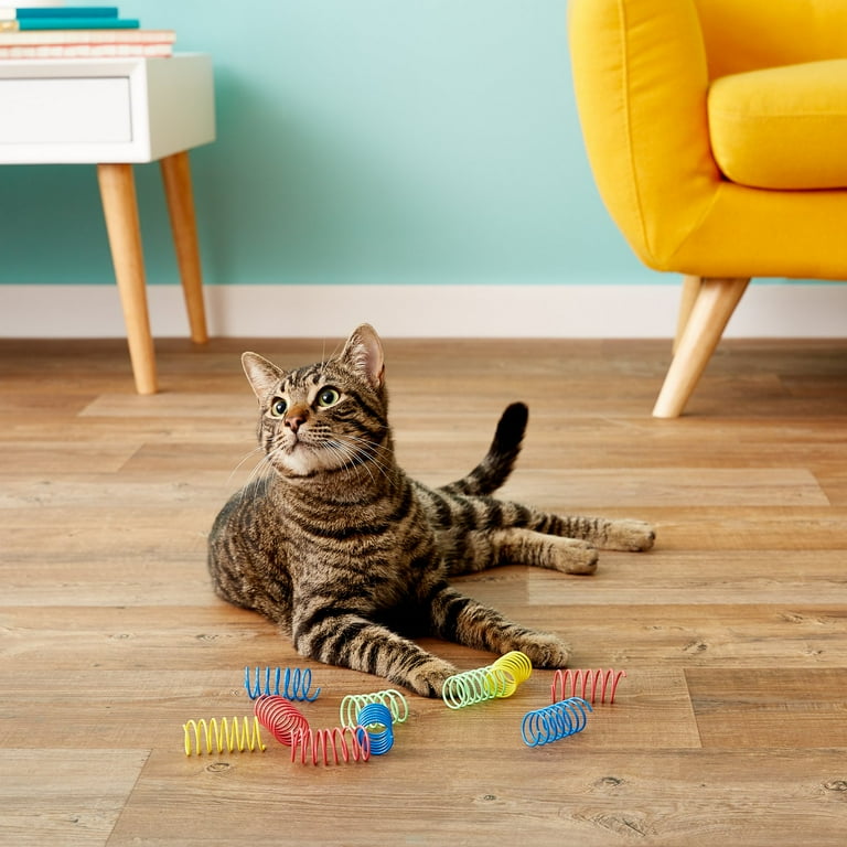 Large spring hotsell cat toy