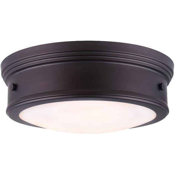 Flush Mount Light Fixture
