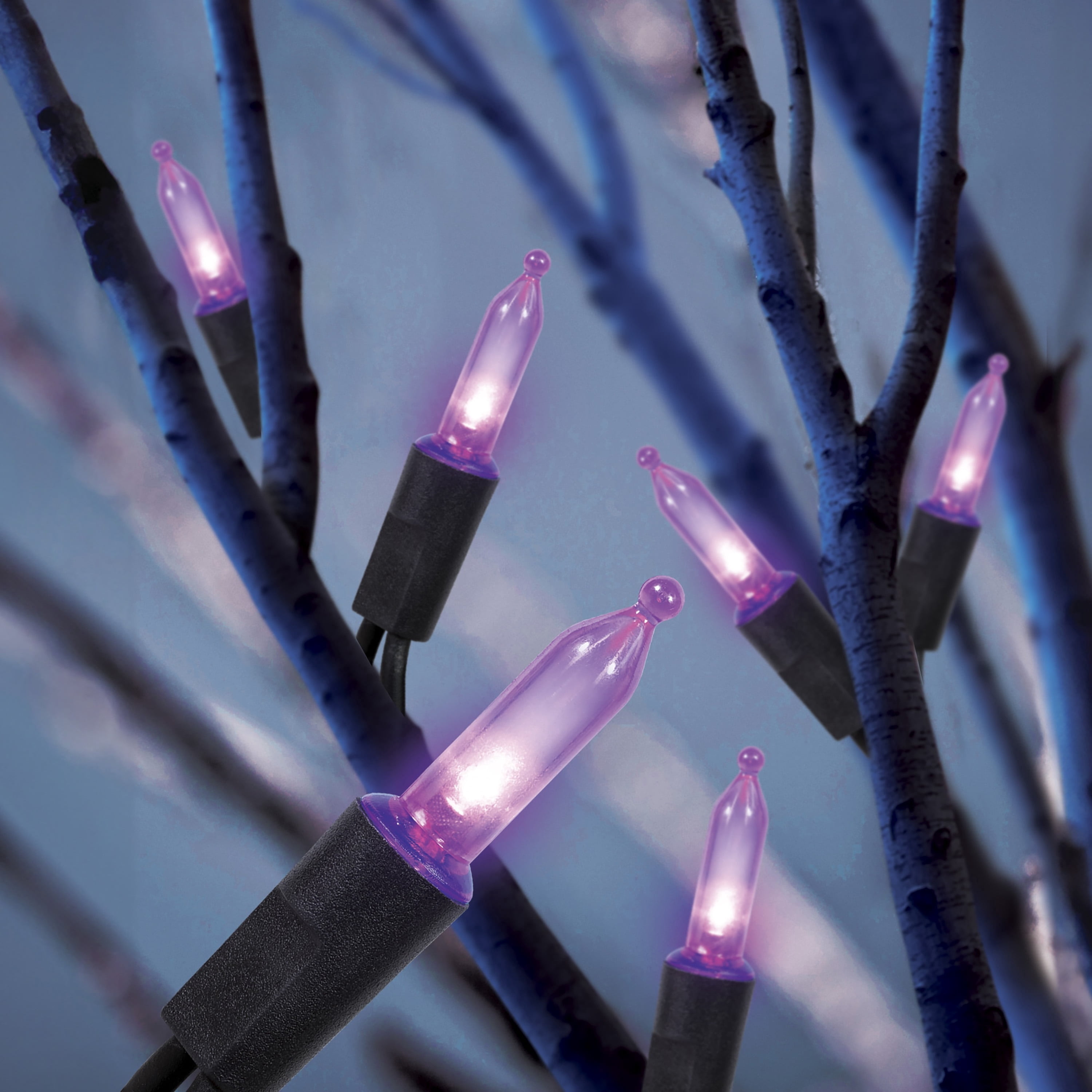 Indoor/Outdoor 200-Count LED Mini String Lights, Purple, 39', Halloween by Way To Celebrate