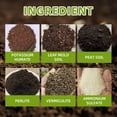 thumbnail image 5 of Indoor Plant Potting Soil Additive, Indoor Potting Soil for House Plants, Organic Potting Soil, Potting Mix Indoor Plants, 120G 3.5X2.5 in 1Pc Water Soluble Black Soil Activator, 5 of 7