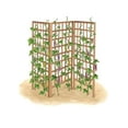 thumbnail image 2 of Bamboo Zig-Zag Trellis 24in x 36in, 2 of 7