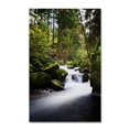 thumbnail image 2 of Trademark Fine Art "Waterfall in the Forest" Canvas Art by Philippe Sainte-Laudy, 2 of 4