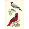 thumbnail image 2 of Lemaire, C.L. 17x24 White Modern Wood Framed Museum Art Print Titled - Lemaire Birds I, 2 of 4