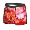 thumbnail image 2 of Disketp Autumn Maple Leaves Men'S Boxer Briefs,Soft And Breathable Cotton Underwear With Comfortflex Waistband, 2 of 9