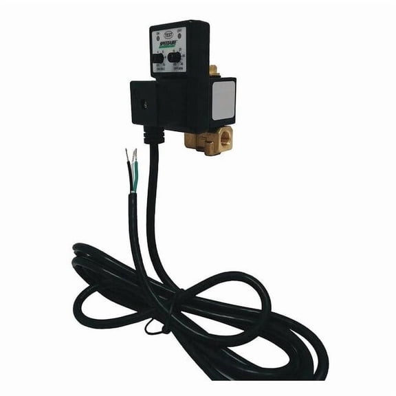 Speedaire Auto Drain Valve,208-240V,1/8 In. 13X523