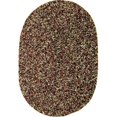 thumbnail image 1 of Rhody Rug Tapis Ovale Tressé Intérieur-Extérieur, Marron, 2 Pieds x 4 Pieds, Réversible, Résistant aux Taches, 1 of 1