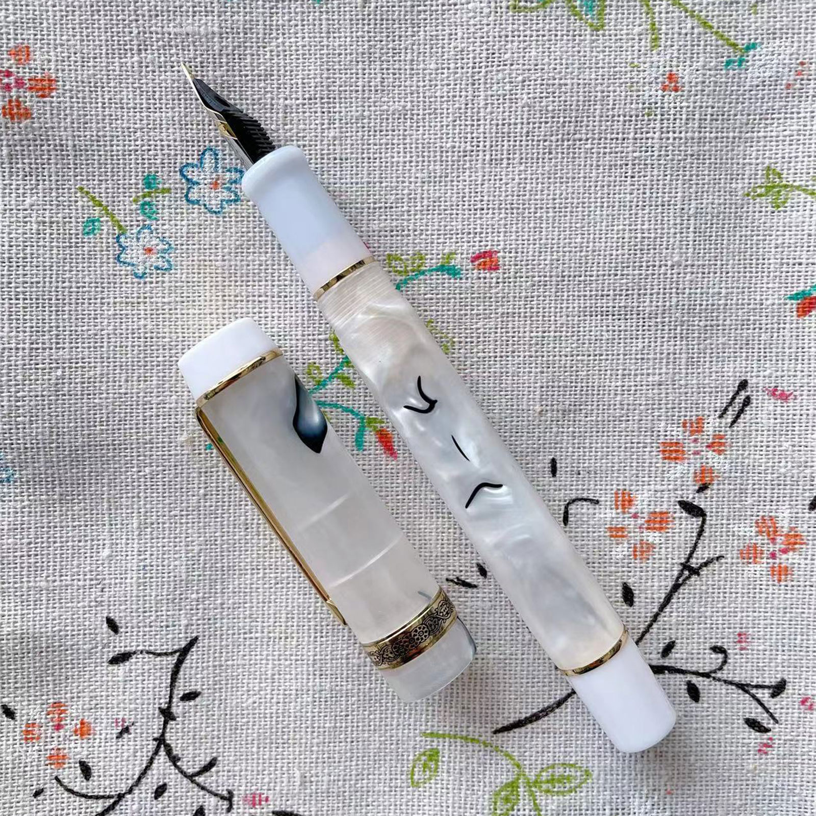 Elegant Fountain Pen Pen Consistent Writing for Men & Women,Professional, Executive, Office, Nice Pens