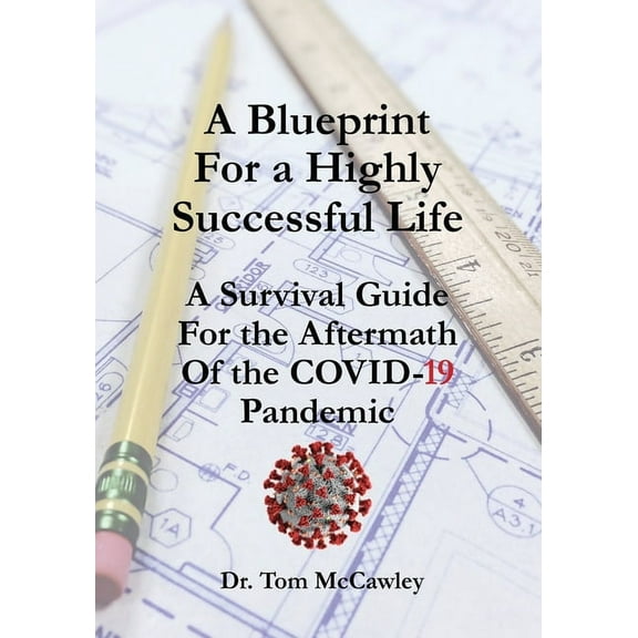 A Blueprint For a Highly Successful Life (Paperback)