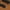 Saddle Brown, variant on Timberland Men's Killington Trekker Mid Lace Up Sneaker Boot