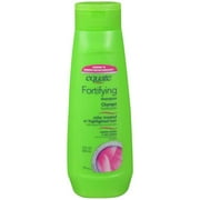 Equate: Color Treated Or Highlighted Hair Shampoo Fortifying, 13 oz