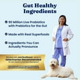 thumbnail image 5 of Solid Gold Skin & Coat Wet Functional Cups for Dogs, Chicken & Salmon, 3.5oz, Pack of 6, 5 of 14