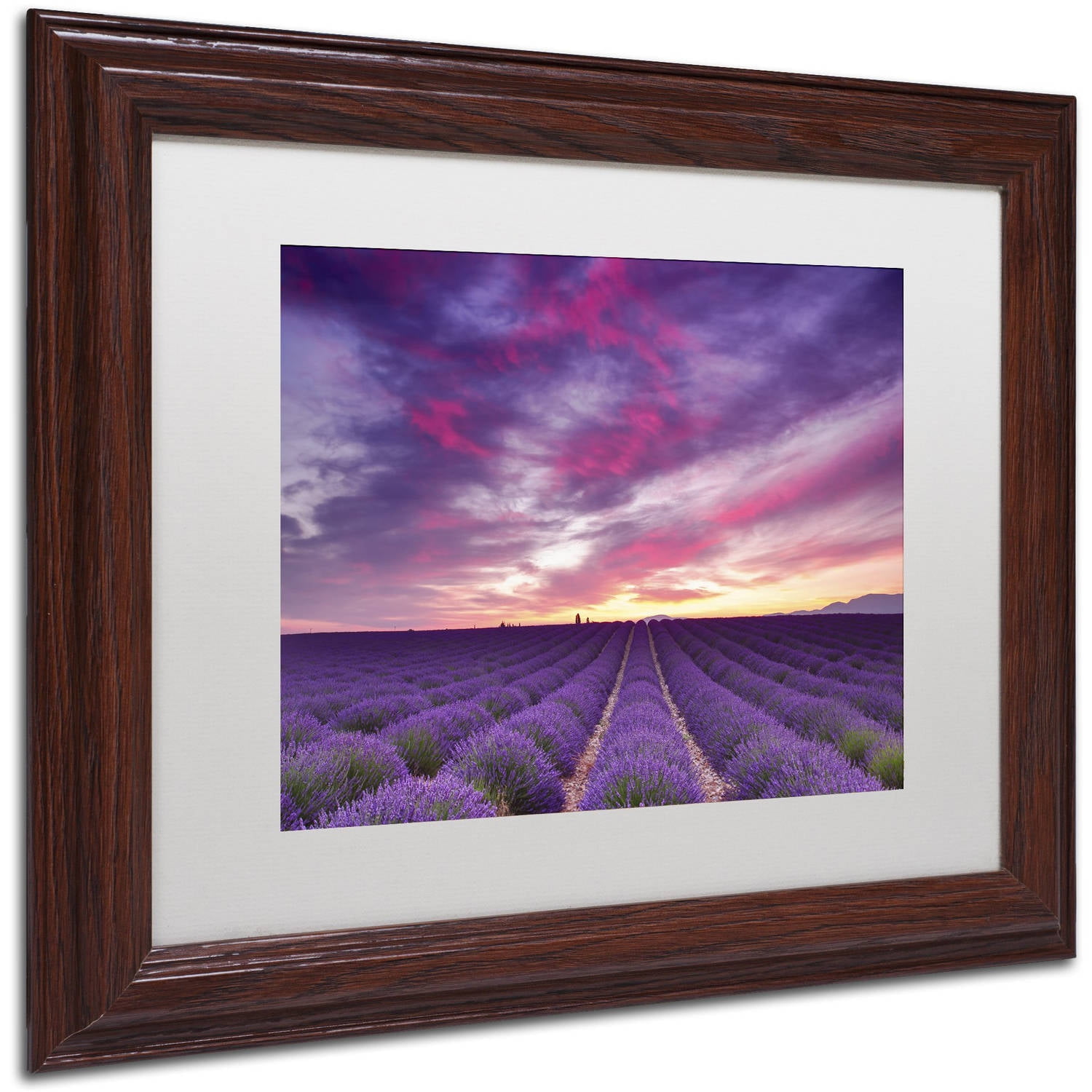 Trademark Fine Art 'Pink and Purple' Canvas Art by Michael Blanchette Photography, White Matte, Wood Frame