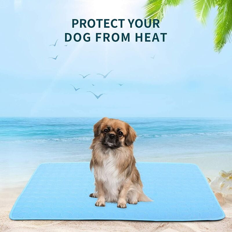 Pet cool discount