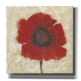 thumbnail image 1 of Epic Graffiti 'Red Poppy Portrait II' by Tim O'Toole, Canvas Wall Art, 37"x37", 1 of 2