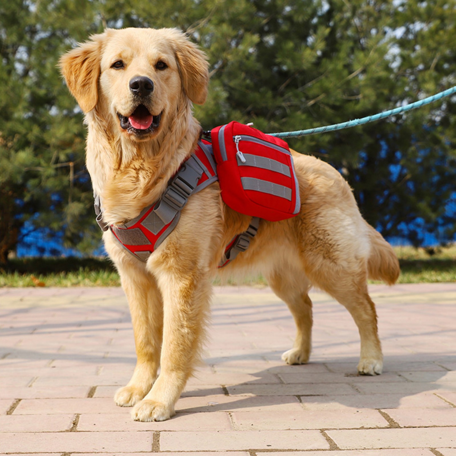Jaucin Outdoor Dog Hiking Backpack Large Dog Hiking Backpack 2 in 1 Dog Saddle Bag Adjustable Straps Large Capacity Breathable and Waterproof Fabric