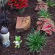 thumbnail image 3 of Arte de vidrio soplado a mano, colección de animales en miniatura con forma de rana verde de la selva tropical, regalo de temporada, arte de vidrio soplado con forma de rana, 3 of 5