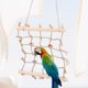 thumbnail image 1 of Escalera de escalada de loros coloridos juguete de madera para masticar pájaros mascotas para pájaros animales loros ANGGREK  Otros, 1 of 8