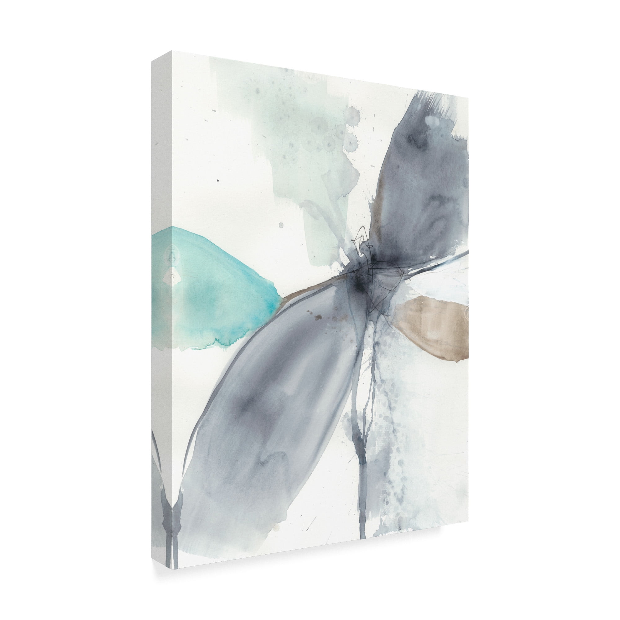 Trademark Fine Art 'Vortex Illusion I' Canvas Art by Jennifer Goldberger