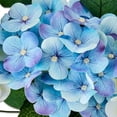 thumbnail image 6 of 6FT Spring Summer Flower Garland for Mantle,Blue White Hydrangeas Floral Garland with Eucalyptus Leaves White Arch Flower Vine for Home Table Centrepiece Stairs Wedding Party Decorations,1PC, 6 of 6
