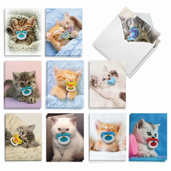 20 All Occasion Blank Note Cards Pack (10 Designs, 2 Each) - Cat Pacifiers All Occasions (4" x 5.12") AM9171OCG-B2x10